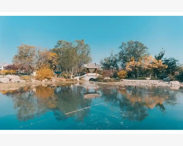 脾胃寒如何艾灸治疗？