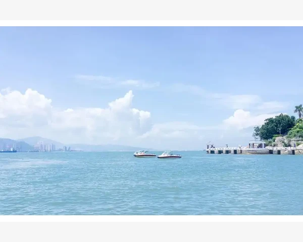 止咳化痰的好吃的：舒缓咳嗽，改善呼吸状况